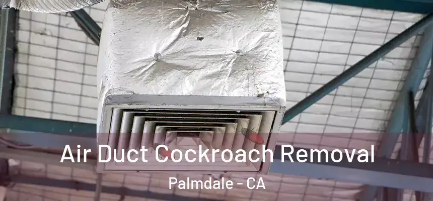 Air Duct Cockroach Removal Palmdale - CA