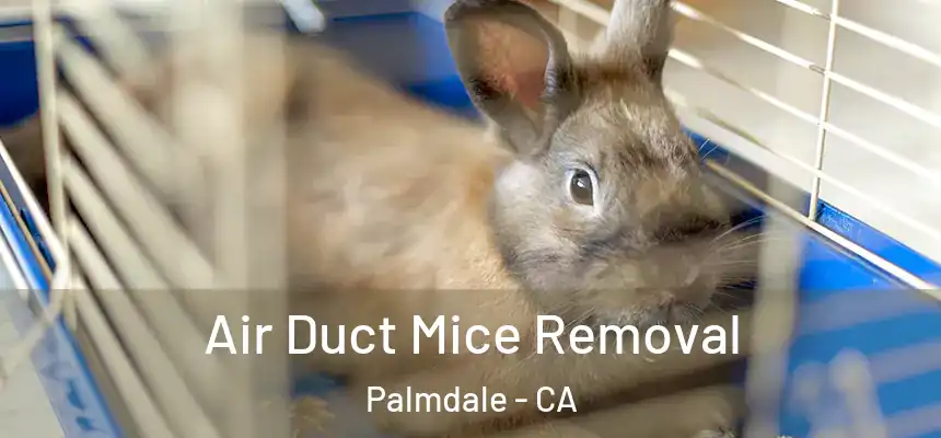 Air Duct Mice Removal Palmdale - CA