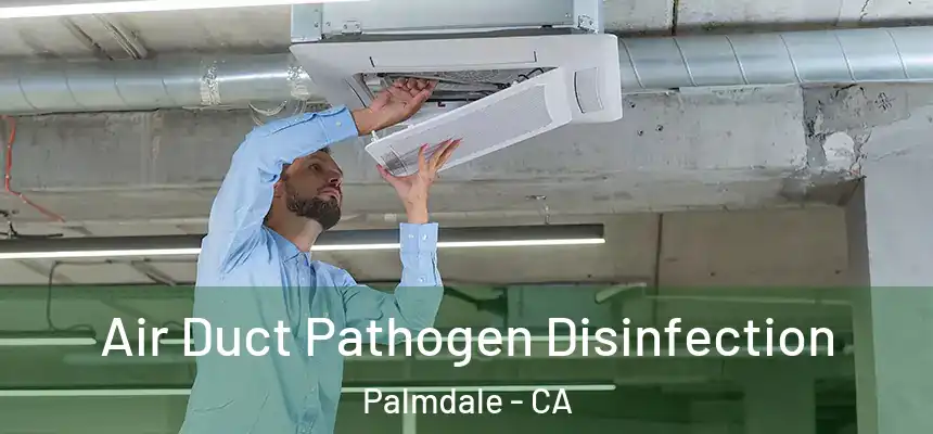 Air Duct Pathogen Disinfection Palmdale - CA