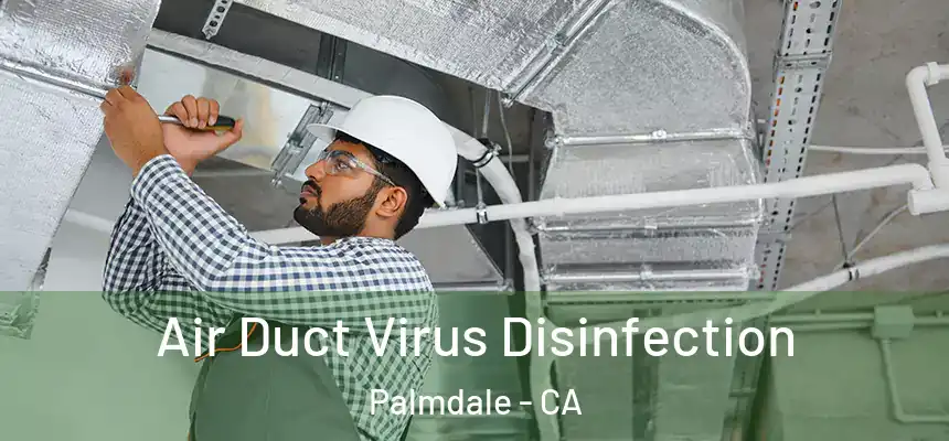 Air Duct Virus Disinfection Palmdale - CA
