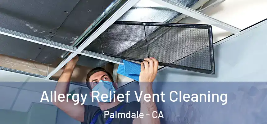 Allergy Relief Vent Cleaning Palmdale - CA