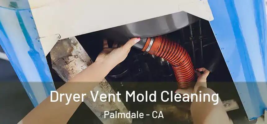 Dryer Vent Mold Cleaning Palmdale - CA