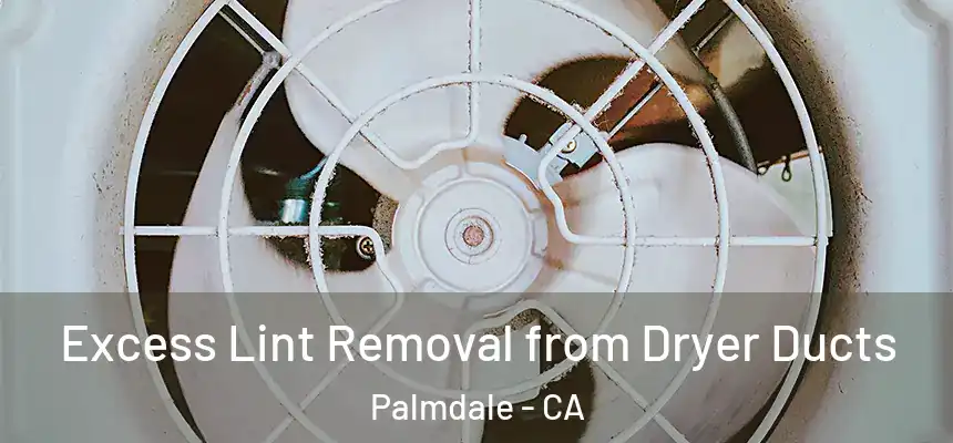 Excess Lint Removal from Dryer Ducts Palmdale - CA