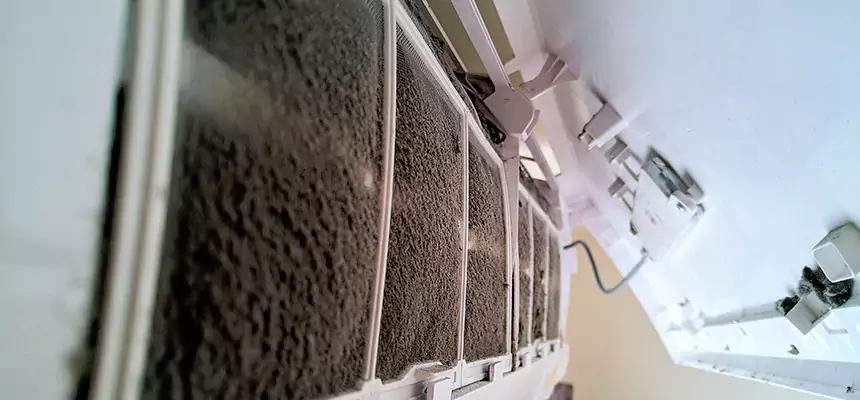 Preventive Air Duct Bacteria Removal in Palmdale