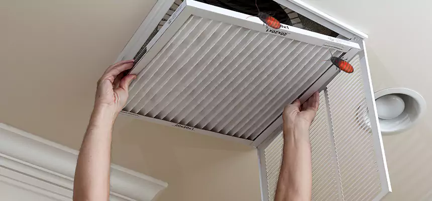 Preventive Cockroach-Proofing for Ducts in Palmdale