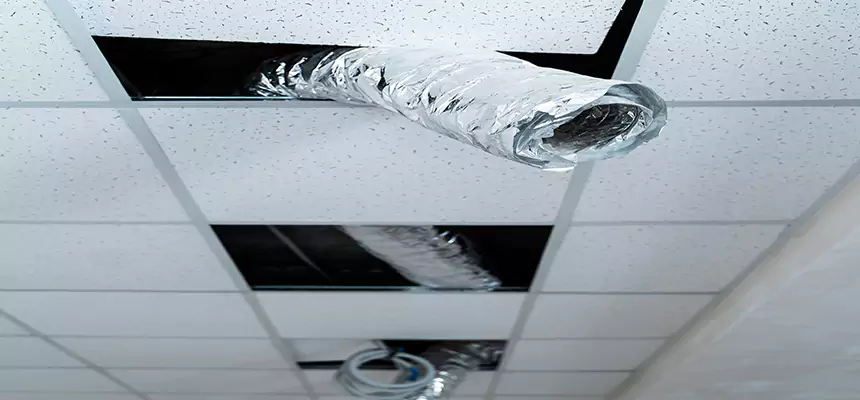 Our Air Duct Pet Hair Removal Services in Palmdale, CA