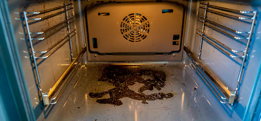 Our Dryer Vent Mold Cleaning Services in Palmdale, CA