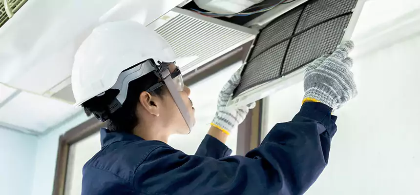 Our Mold & Mildew Removal from Air Ducts Services in Palmdale, CA