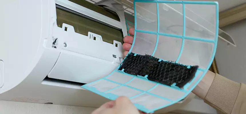 Gentle Ductwork Odor-Control Pet Dander Duct Cleaning in Palmdale, CA