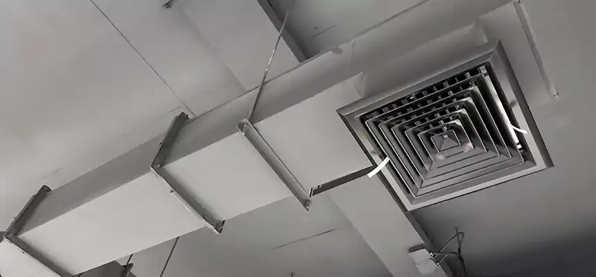 Our Rodent Droppings In Vents Services in Palmdale, CA