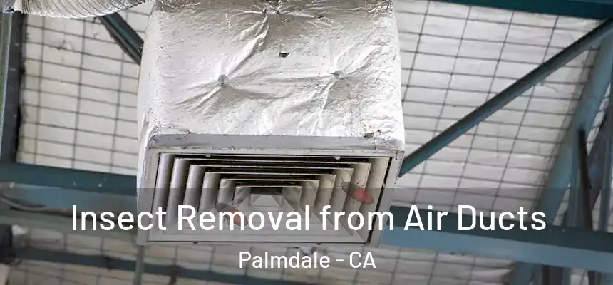 Insect Removal from Air Ducts Palmdale - CA