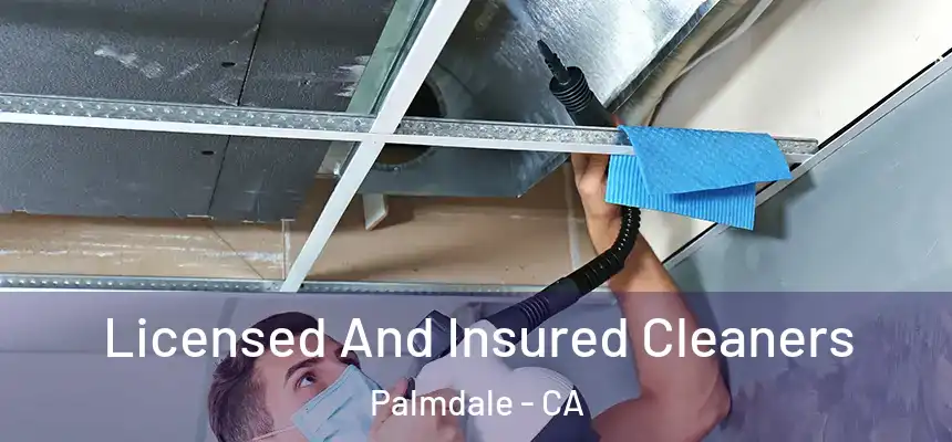 Licensed And Insured Cleaners Palmdale - CA