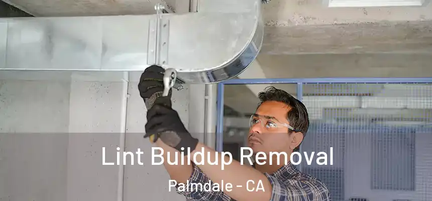 Lint Buildup Removal Palmdale - CA