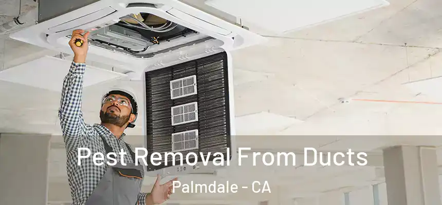 Pest Removal From Ducts Palmdale - CA