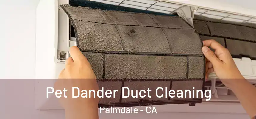 Pet Dander Duct Cleaning Palmdale - CA