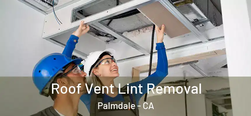 Roof Vent Lint Removal Palmdale - CA