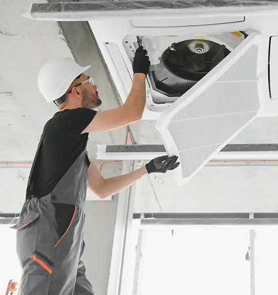 About Air Duct Rodent Removal in Palmdale, CA