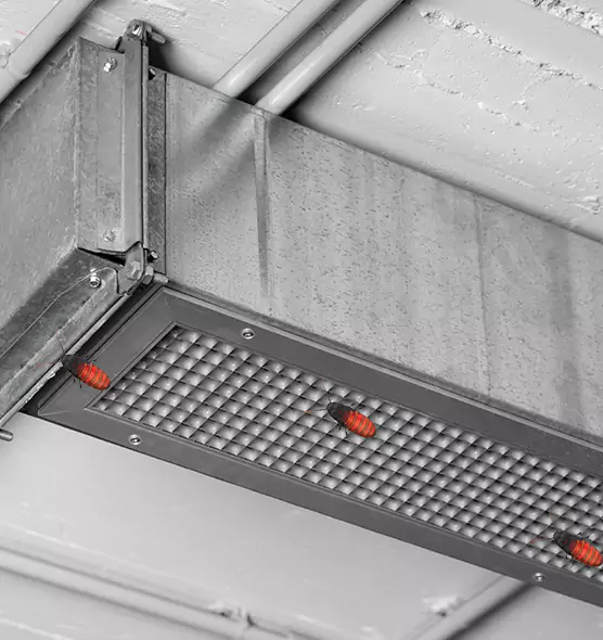 Affordable Insect Removal from Air Ducts in Palmdale, CA
