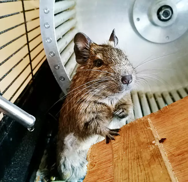 Why Homeowners & Businesses Trust Us Palmdale, CA