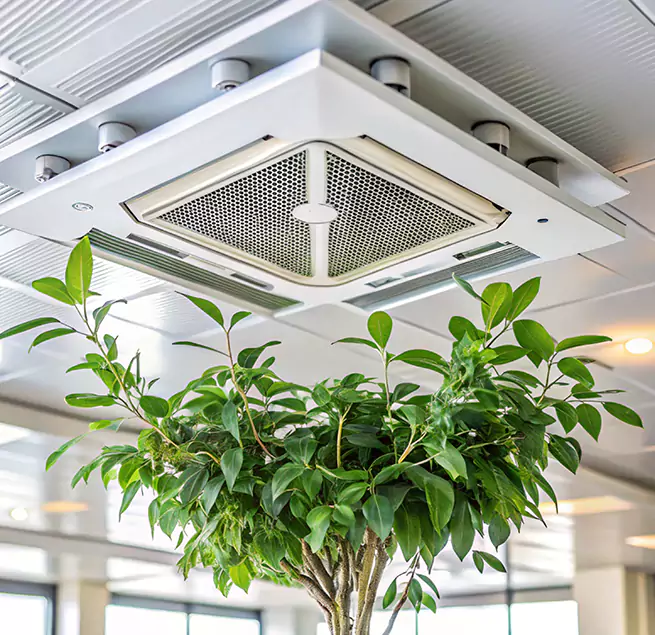 Why Homeowners & Businesses Trust Us in Palmdale, CA?