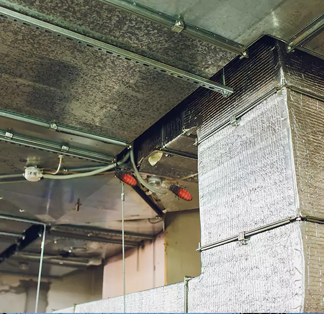 Why Homeowners & Businesses Trust Us Palmdale, CA?