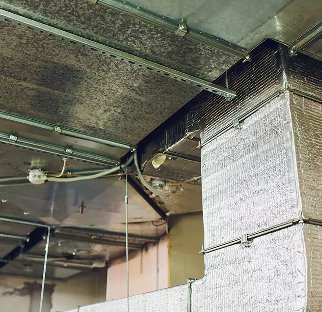 Why Homeowners & Businesses Trust Us in Palmdale, CA?